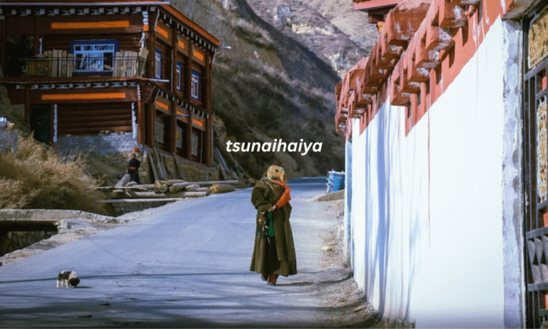 tsunaihaiya