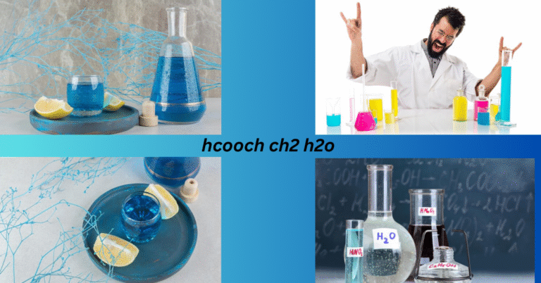 My Curious Dive into HCOOCH CH2 H2O: A Chemistry Adventure That Made Sense hcooch ch2 h2o