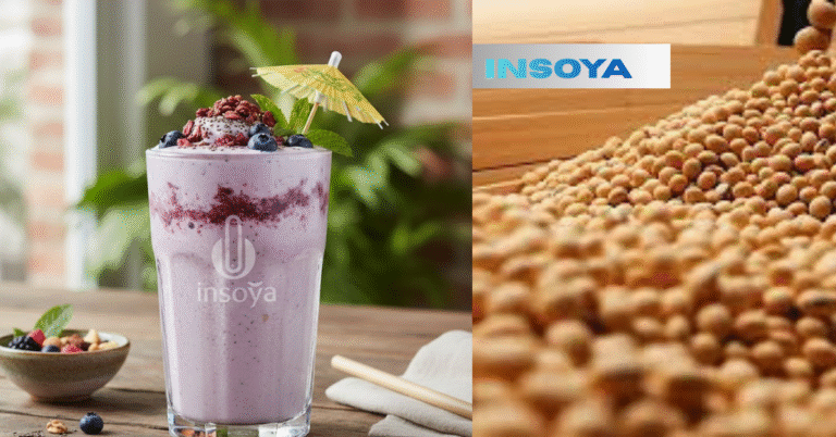 My Honest Experience With Insoya: What I Learned and Why It Surprised Me insoya