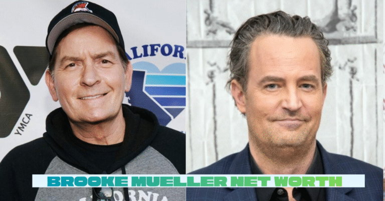 Brooke Mueller Net Worth: What I’ve Learned Looking Beyond the Headlines Brooke Mueller Net Worth