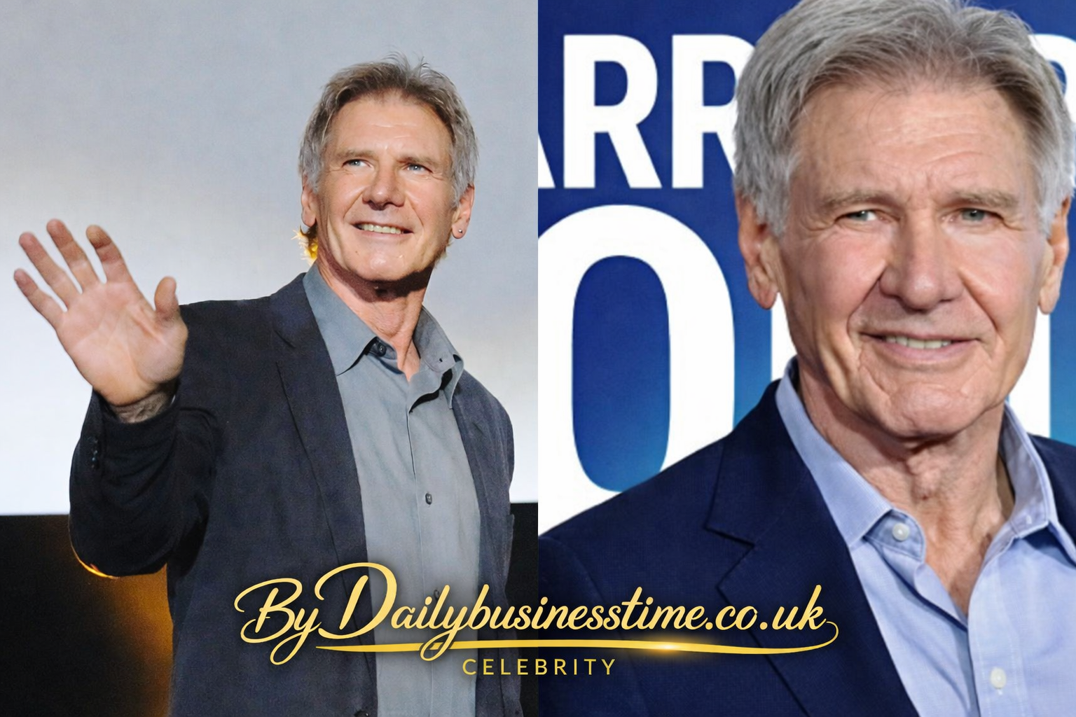 Harrison Ford Net Worth
